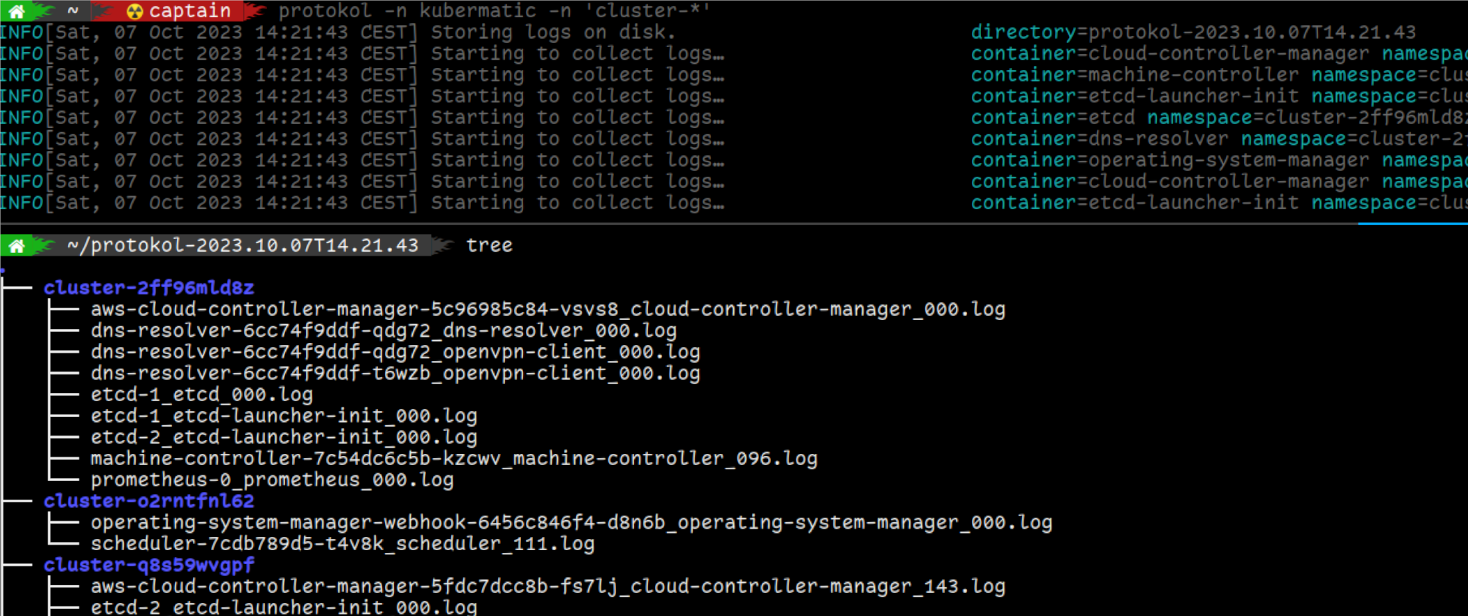 Screenshot protokol's output